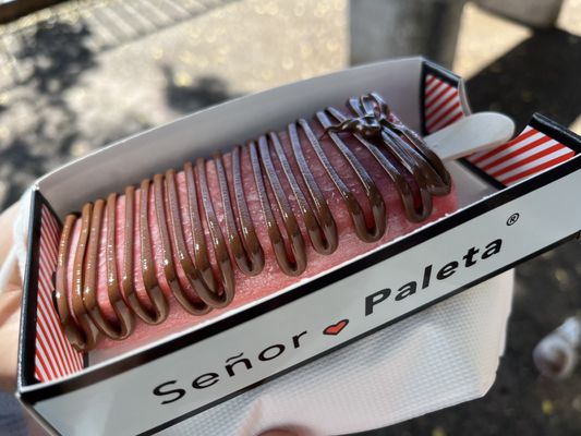 Señor Paleta by null
