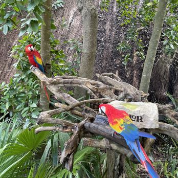 Xplor Park - Amusement Parks Near Me - Playa del Carmen, ROO