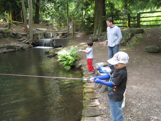 Photo of Springbrook Trout Farm - Renton, WA, US. Fishing the medium pond.