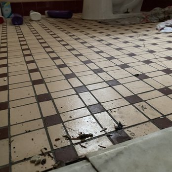 Rex & Son Inc Plumbing & Heating - Disgusting, bathroom was trash they moved everything even my couches. Made a whole mess & didn't even finish the job. I want this done ASAP! - Plumbing Near Me - Glenside, Pennsylvania Rex & Son Inc Plumbing & Heating - Disgusting, bathroom was trash they moved everything even my couches. Made a whole mess & didn't even finish the job. I want this done ASAP! - Plumbing Near Me - Glenside, Pennsylvania