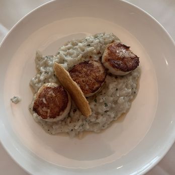 Ambrosia - Scallops and truffle risotto - Steakhouses Near Me - Watersound, Florida Ambrosia - Scallops and truffle risotto - Steakhouses Near Me - Watersound, Florida