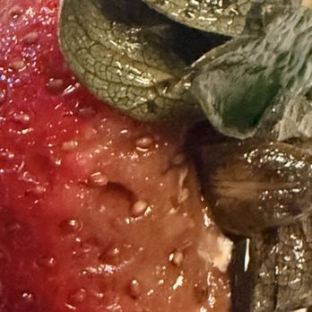Wild Olives - Rotton Strawberry - Tapas/Small Plates Near Me - Santa Rosa Beach, Florida Wild Olives - Rotton Strawberry - Tapas/Small Plates Near Me - Santa Rosa Beach, Florida