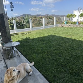 Vinyl Pro Fence - Fences & Gates Near Me - San Diego, California
