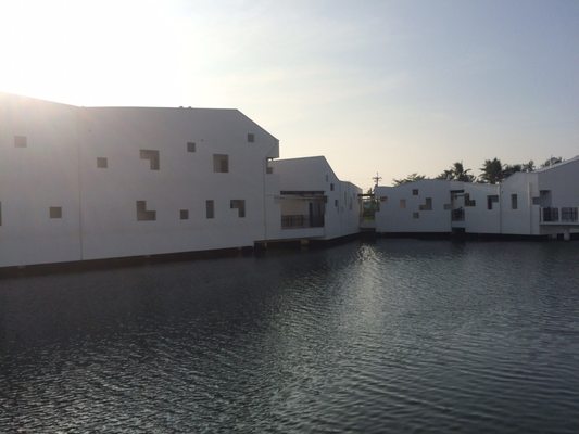 Taijiang National Park by null