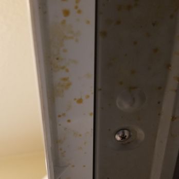 PMI Birdy Properties - Only posting a couple pics of the nasty kitchen we had to scrub and clean. - Property Management Near Me - San Antonio, Texas PMI Birdy Properties - Only posting a couple pics of the nasty kitchen we had to scrub and clean. - Property Management Near Me - San Antonio, Texas
