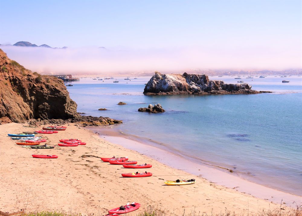Avila Beach Paddlesports Logo