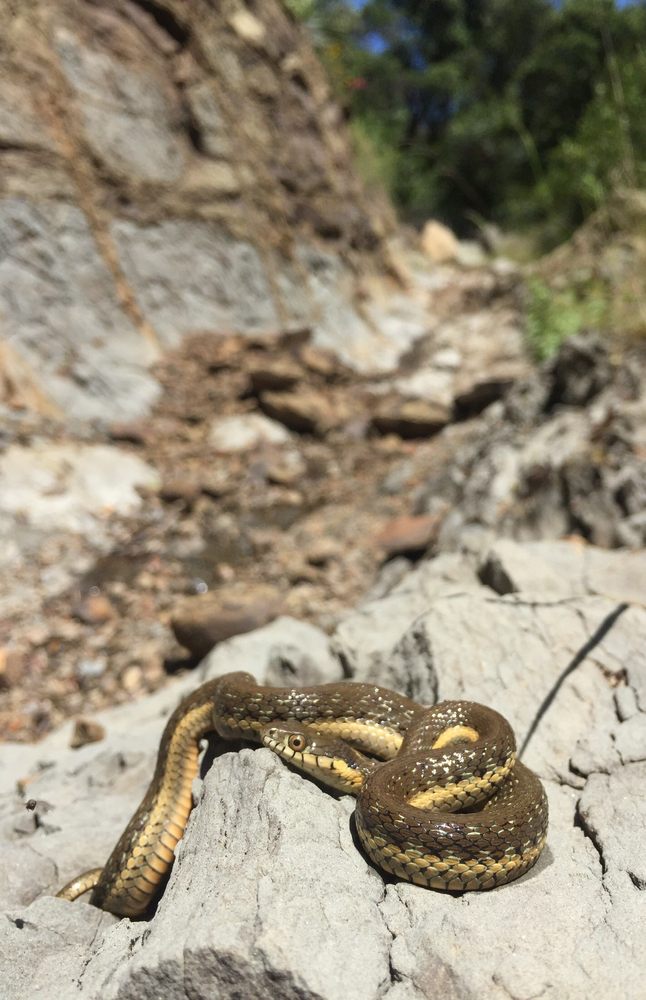 7 FALLS HIKE Updated May 2024 84 Photos & 38 Reviews Tunnel Rd