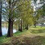 Photo of Center Lake Park