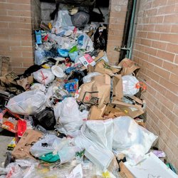 Big's Sanitation