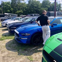 Call is very professional, informative and friendly!Check out all these beautiful Mustangs! Call is very professional, informative and friendly!Check out all these beautiful Mustangs!