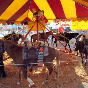 San Gennaro Feast - Poor ponies walking in circles in the heat - Festivals Near Me - Henderson, Nevada San Gennaro Feast - Poor ponies walking in circles in the heat - Festivals Near Me - Henderson, Nevada