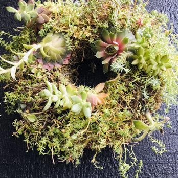 Starflower - How amazing is this! October awesomeness - Florists Near Me - Portland, Oregon Starflower - How amazing is this! October awesomeness - Florists Near Me - Portland, Oregon