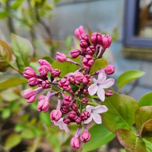 Seattle Public Library - Beacon Hill Branch on Yelp