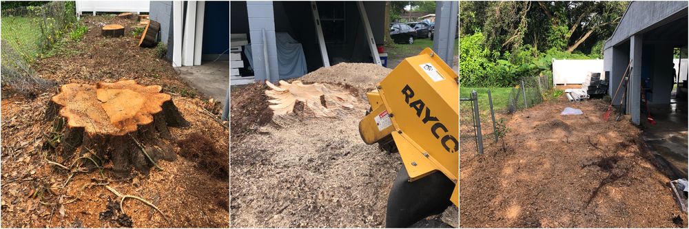 MKC Tree Services - tree service in Tampa Palms, FL