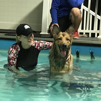 The Puddle - Pet Services Near Me - South Elgin, Illinois