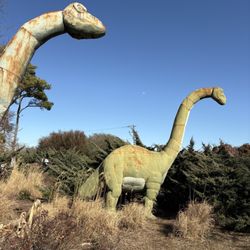 Jerrassic Park