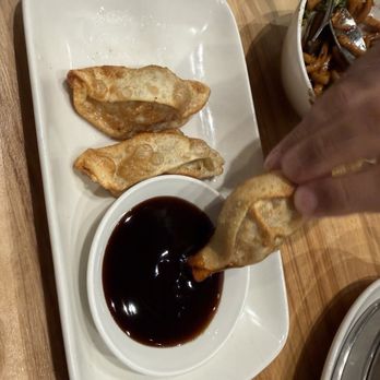 dan modern chinese - Pan fried dumplings - Chinese Near Me - Los Angeles, California