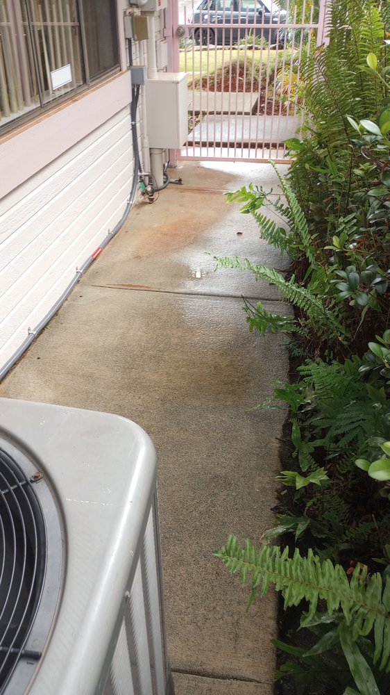 Slide of Papaya Powerwashing