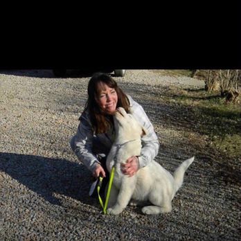 Fullmoon Akitas - Pet Breeders Near Me