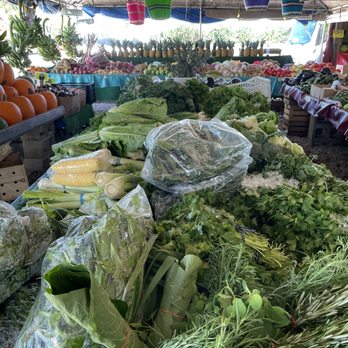 Maria Corona Produce - Farmers Market Near Me - Miami, Florida Maria Corona Produce - Farmers Market Near Me - Miami, Florida