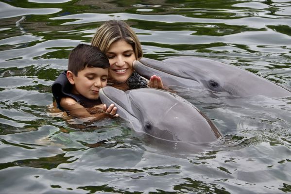 Dolphins Plus Marine Mammal Responder by null