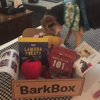 Graduate by Hilton Berkeley - Checking out his Barkbox! - Hotels Near Me - Berkeley, California