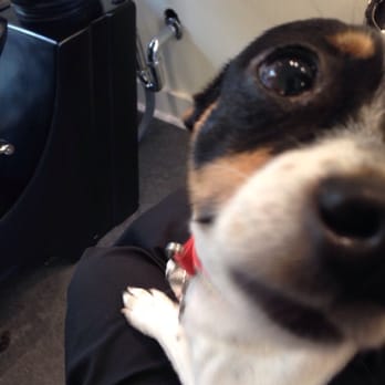 Coven Salon - The Coven mascot! Love her! - Hair Salons Near Me - Seattle, Washington Coven Salon - The Coven mascot! Love her! - Hair Salons Near Me - Seattle, Washington