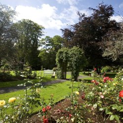Twin Trees Hotel - Twin Trees Hotel, Rose Gardens