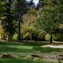 Photo of Pine Oaks Golf Course