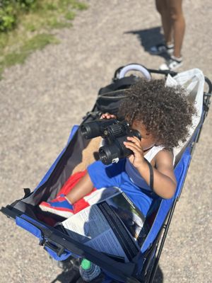 Jamaica Bay Wildlife Refuge by null