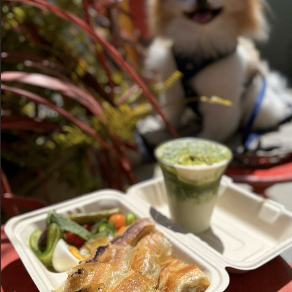 Zorek - Beef & Herb Börek ($12) + Pistachio Matcha Latte w/ oat milk ($8) - Cafes Near Me - San Bruno, California Zorek - Beef & Herb Börek ($12) + Pistachio Matcha Latte w/ oat milk ($8) - Cafes Near Me - San Bruno, California