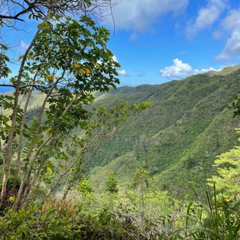Kuliouou Ridge Trail - Hiking Near Me - Honolulu, Hawaii Kuliouou Ridge Trail - Hiking Near Me - Honolulu, Hawaii