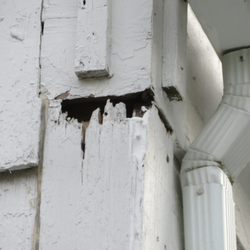 Ardent Home Inspections - Rotted wood and the cause need to be addressed.