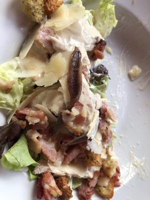 Elevation 1904 by null