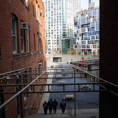 MoMA PS1 by null