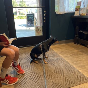 Hearthstone Veterinary Hospital - Miles is shaking and ready for his exam - Veterinarians Near Me - Tigard, Oregon Hearthstone Veterinary Hospital - Miles is shaking and ready for his exam - Veterinarians Near Me - Tigard, Oregon