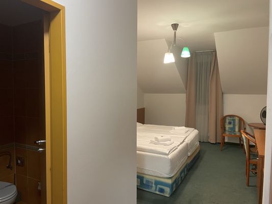 Hotel Dvořák by null