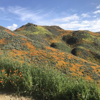 Walker Canyon Ecological Reserve - Wildlife Hunting Ranges Near Me
