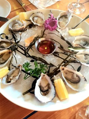 Ox and Anchor by null