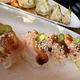 Japanese gyoza and Seared Salmon Sushi Japanese gyoza and Seared Salmon Sushi