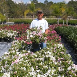 H & H Nursery, Inc.