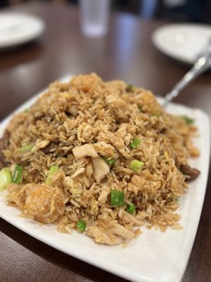 Golden Pheasant by null