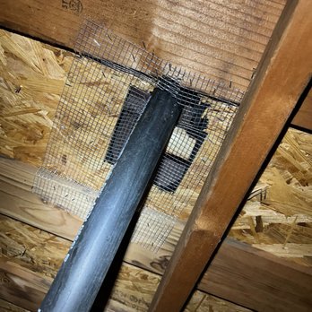 Attic Repair Guys - Insulation Installation Near Me - Fremont, California Attic Repair Guys - Insulation Installation Near Me - Fremont, California