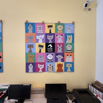 Friends For Life Animal Rescue - Quilt of kitty cats - Animal Shelters Near Me - Gilbert, Arizona Friends For Life Animal Rescue - Quilt of kitty cats - Animal Shelters Near Me - Gilbert, Arizona