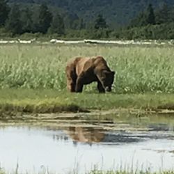 user provided Andrew Airways photo