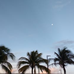 Arena Moon Palace