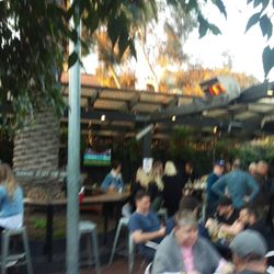 Peacock Inn Bar and Cafe - Beer Garden