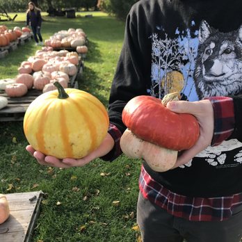 Hafs Road Orchard - :D - Fruits & Veggies Near Me - Genoa City, Wisconsin Hafs Road Orchard - :D - Fruits & Veggies Near Me - Genoa City, Wisconsin