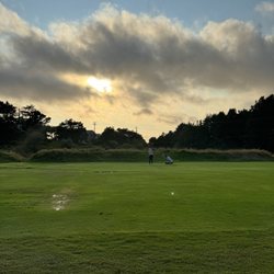 Manzanita Links