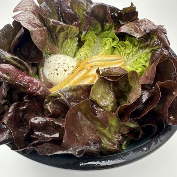 Destroyer - Red Gem Salad plus egg - New American Near Me - Culver City, California